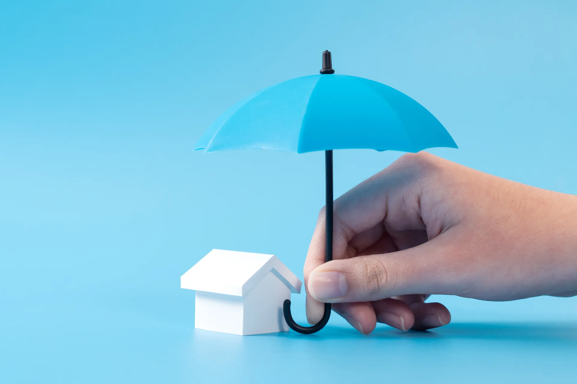 Eviction Protection Plus+